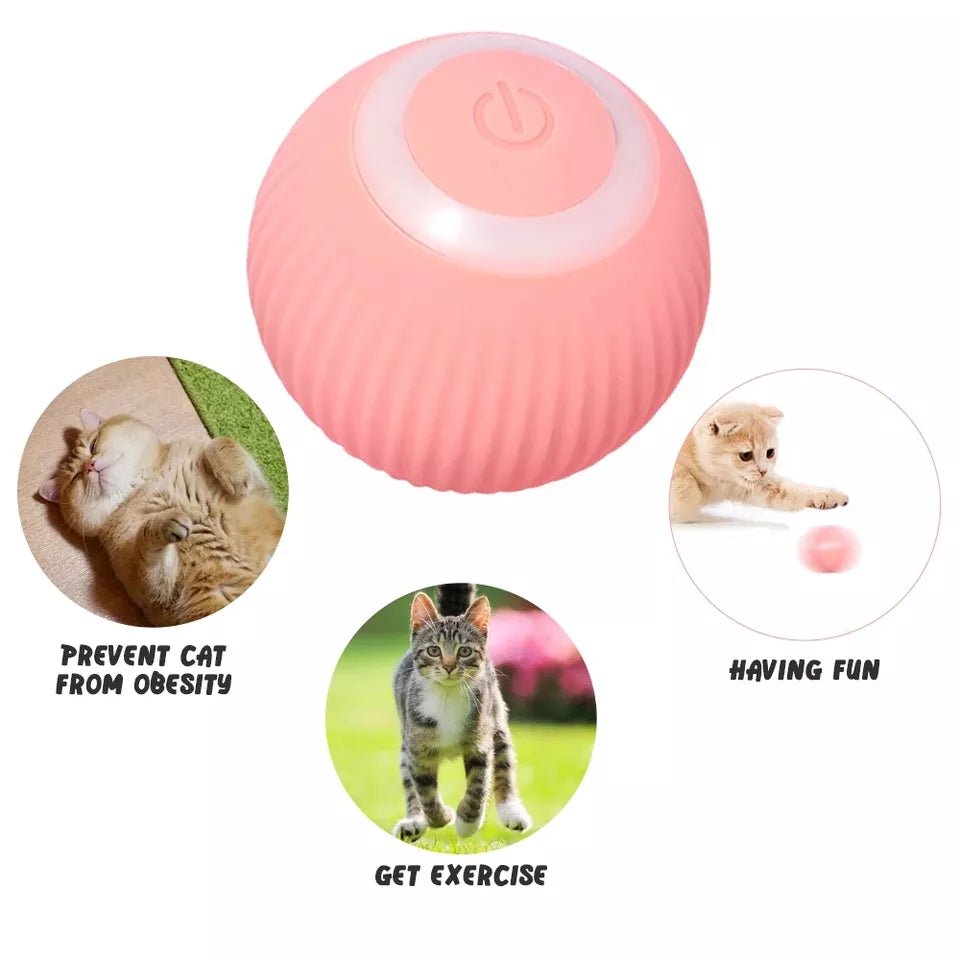 Slimme zelfrollende katten speelbal
