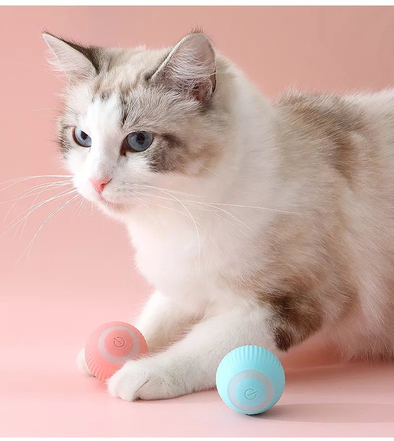 Slimme zelfrollende katten speelbal